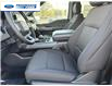 2025 Ford F-150 XLT (Stk: SFB52953) in Wallaceburg - Image 11 of 25