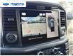 2025 Ford F-150 XLT (Stk: SFB52953) in Wallaceburg - Image 17 of 25