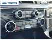 2025 Ford F-150 XLT (Stk: SFB52953) in Wallaceburg - Image 19 of 25