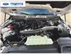 2025 Ford F-150 XLT (Stk: SFB52953) in Wallaceburg - Image 25 of 25