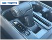 2025 Ford F-150 XLT (Stk: SKF23542) in Wallaceburg - Image 20 of 25