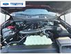 2025 Ford F-150 XLT (Stk: SKF23542) in Wallaceburg - Image 25 of 25