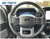2025 Ford F-150 Lariat (Stk: SKF45016) in Wallaceburg - Image 14 of 25
