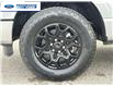 2025 Ford F-150 XLT (Stk: SKF69708) in Wallaceburg - Image 10 of 25