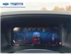 2025 Ford F-150 XLT (Stk: SKF69708) in Wallaceburg - Image 15 of 25