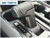 2025 Ford F-150 XLT (Stk: SKF69708) in Wallaceburg - Image 20 of 25
