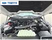 2025 Ford F-150 XLT (Stk: SKF69708) in Wallaceburg - Image 25 of 25