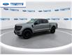 2025 Ford F-150 XLT (Stk: SKF69708) in Wallaceburg - Image 4 of 25