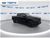 2025 Ford F-150 STX (Stk: SKF32094) in Wallaceburg - Image 2 of 24