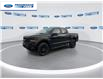 2025 Ford F-150 STX (Stk: SKF32094) in Wallaceburg - Image 4 of 24