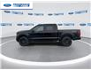 2025 Ford F-150 STX (Stk: SKF32094) in Wallaceburg - Image 5 of 24