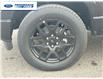 2025 Ford F-150 STX (Stk: SKF32094) in Wallaceburg - Image 10 of 24