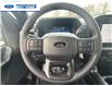 2025 Ford F-150 STX (Stk: SKF32094) in Wallaceburg - Image 14 of 24