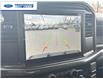 2025 Ford F-150 STX (Stk: SKF32094) in Wallaceburg - Image 17 of 24