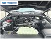 2025 Ford F-150 STX (Stk: SKF32094) in Wallaceburg - Image 24 of 24