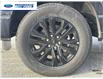 2025 Ford F-150 Lariat (Stk: SKF27033) in Wallaceburg - Image 10 of 25