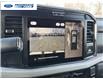 2026 Ford F-250 XLT (Stk: TED02530) in Wallaceburg - Image 17 of 25