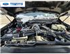 2026 Ford F-250 XLT (Stk: TED02530) in Wallaceburg - Image 25 of 25