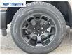 2025 Ford F-150 STX (Stk: SFC43073) in Wallaceburg - Image 10 of 24