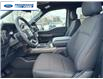 2025 Ford F-150 STX (Stk: SFC43073) in Wallaceburg - Image 11 of 24