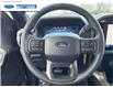 2025 Ford F-150 STX (Stk: SFC43073) in Wallaceburg - Image 14 of 24