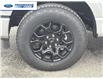 2025 Ford F-150 XLT (Stk: SKF42233) in Wallaceburg - Image 10 of 24