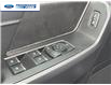 2025 Ford F-150 XLT (Stk: SKF42233) in Wallaceburg - Image 13 of 24