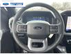 2025 Ford F-150 XLT (Stk: SKF42233) in Wallaceburg - Image 14 of 24