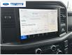 2025 Ford F-150 XLT (Stk: SKF42233) in Wallaceburg - Image 16 of 24
