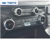 2025 Ford F-150 XLT (Stk: SKF42233) in Wallaceburg - Image 18 of 24