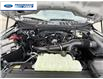 2025 Ford F-150 XLT (Stk: SKF42233) in Wallaceburg - Image 24 of 24