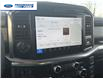 2025 Ford F-150 Lariat (Stk: SFC31921) in Wallaceburg - Image 16 of 25
