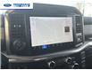 2025 Ford F-150 Lariat (Stk: SFC31921) in Wallaceburg - Image 18 of 25
