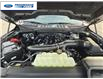 2025 Ford F-150 Lariat (Stk: SFC31921) in Wallaceburg - Image 25 of 25