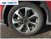 2023 Ford Escape Platinum (Stk: PUA15131L) in Wallaceburg - Image 10 of 26