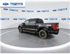 2025 Ford F-150 XLT (Stk: SKE83110) in Wallaceburg - Image 6 of 25