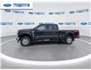 2026 Ford F-250 XLT (Stk: TED02530) in Wallaceburg - Image 6 of 25