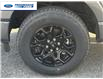 2026 Ford F-150 XLT (Stk: TKD28846) in Wallaceburg - Image 10 of 25