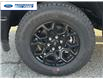 2026 Ford F-150 XLT (Stk: TKD29929) in Wallaceburg - Image 10 of 25