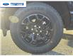 2025 Ford F-150 XLT (Stk: SKF77973) in Wallaceburg - Image 10 of 25