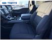 2025 Ford F-150 XLT (Stk: SKF77973) in Wallaceburg - Image 11 of 25