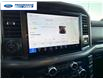 2025 Ford F-150 XLT (Stk: SKF77973) in Wallaceburg - Image 16 of 25