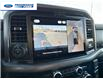 2025 Ford F-150 XLT (Stk: SKF77973) in Wallaceburg - Image 17 of 25