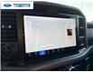 2025 Ford F-150 XLT (Stk: SKF77973) in Wallaceburg - Image 18 of 25