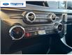 2025 Ford F-150 XLT (Stk: SKF77973) in Wallaceburg - Image 19 of 25