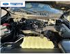 2025 Ford F-150 XLT (Stk: SKF77973) in Wallaceburg - Image 25 of 25