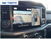 2025 Ford F-150 XLT (Stk: SFB48551) in Wallaceburg - Image 17 of 25