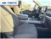 2025 Ford F-150 XLT (Stk: SFB48551) in Wallaceburg - Image 24 of 25