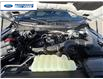 2025 Ford F-150 XLT (Stk: SFB48551) in Wallaceburg - Image 25 of 25