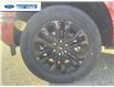 2025 Ford F-150 XLT (Stk: SKD95219) in Wallaceburg - Image 10 of 26
